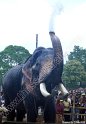 thrissur-pooram-2011- (22)